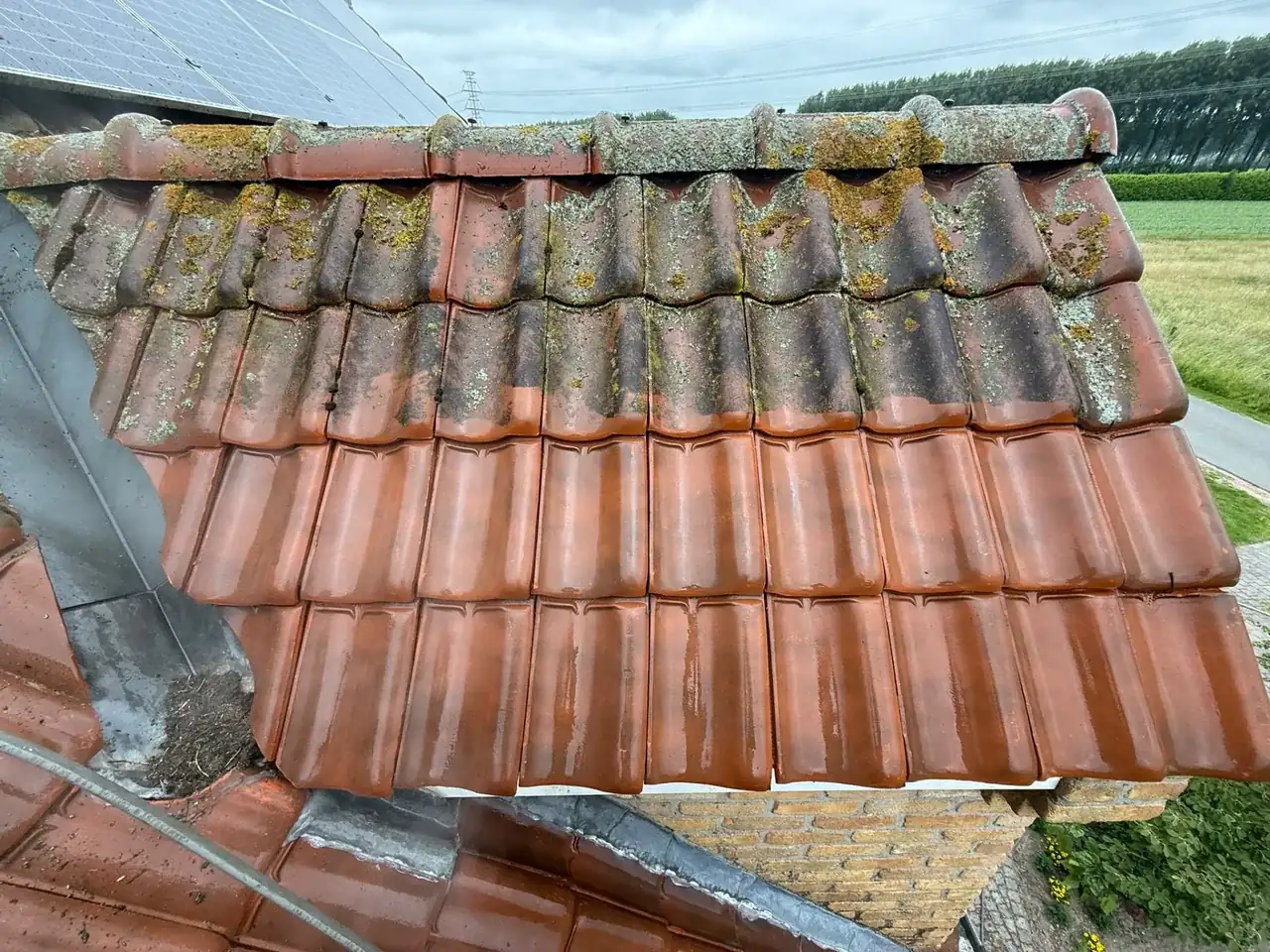 Dakpannen tijdens de reiniging: bovenaan mos en korstmos, onderaan gereinigd